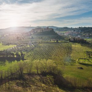 TERME E NON SOLO